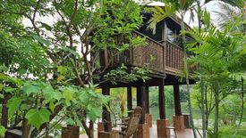 3 Bedroom House for sale in Doi Lo, Chiang Mai