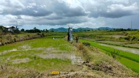 Land for sale in Lomangog, Bohol