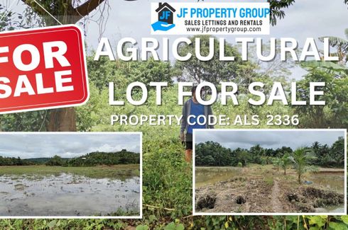 Land for sale in Labrador, Leyte