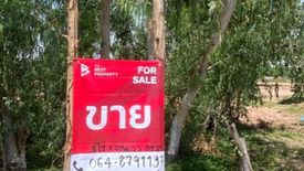 Land for sale in Non Daeng, Khon Kaen