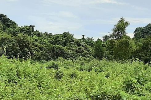 Land for sale in Barake, Palawan