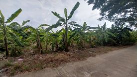 Land for sale in Ban Makluea, Nakhon Sawan