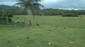 Land for sale in Caranan, Camarines Sur