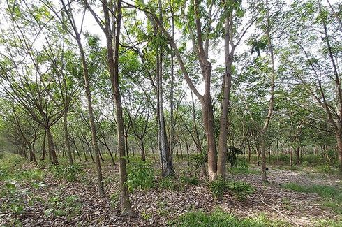 Land for sale in Chak Don, Rayong