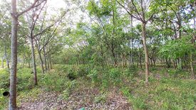 Land for sale in Chak Don, Rayong