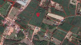 Land for sale in Chak Don, Rayong