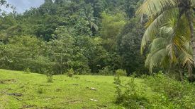 Land for sale in Ingwan-Batangan, Antique