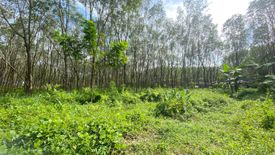 Land for sale in Thep Krasatti, Phuket