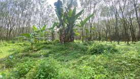 Land for sale in Thep Krasatti, Phuket