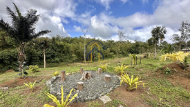 Land for sale in Caliraya, Laguna