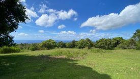 Land for sale in Malongcay Diot, Negros Oriental