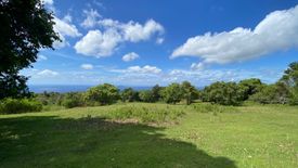 Land for sale in Malongcay Diot, Negros Oriental
