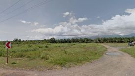 Land for sale in Poblacion, Palawan