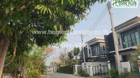 Land for sale in San Phak Wan, Chiang Mai