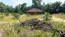 ขายที่ดิน ใน ท้ายเหมือง, ท้ายเหมือง