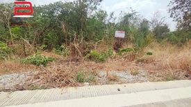 Land for sale in Nam Daeng, Chachoengsao