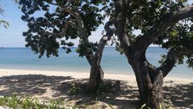 Land for sale in Playa Laiya, Laiya-Aplaya, Batangas