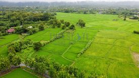 Land for sale in Luang Nuea, Chiang Mai