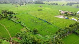 ขายที่ดิน ใน ลวงเหนือ, ดอยสะเก็ด