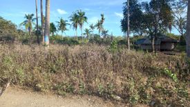 Land for sale in Danao, Bohol