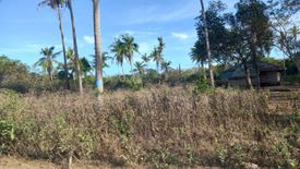 Land for sale in Danao, Bohol