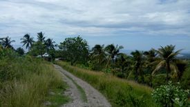 Land for sale in Pitalo, Cebu