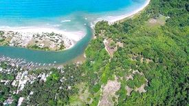 Land for sale in Poblacion, Palawan