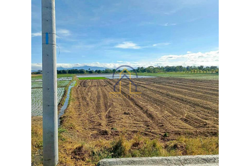 Land for sale in Tabacao, Nueva Ecija