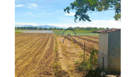 Land for sale in Tabacao, Nueva Ecija