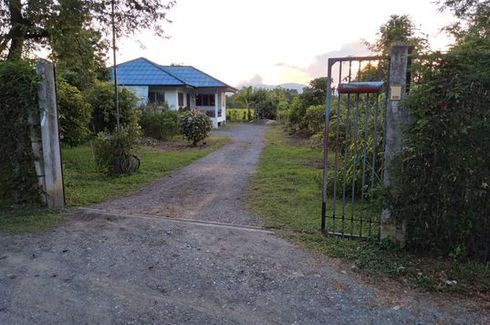 Land for sale in Pa Lan, Chiang Mai