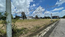Land for sale in Don Jose, Laguna