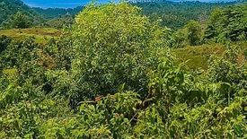 Land for sale in Bawo, Cebu
