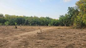 Land for sale in Nong Prue, Chonburi