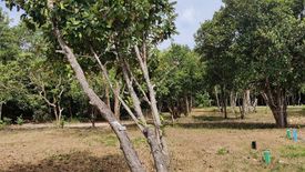 Land for sale in Villa Libertad, Palawan