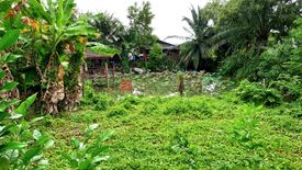Land for sale in Pong, Chonburi