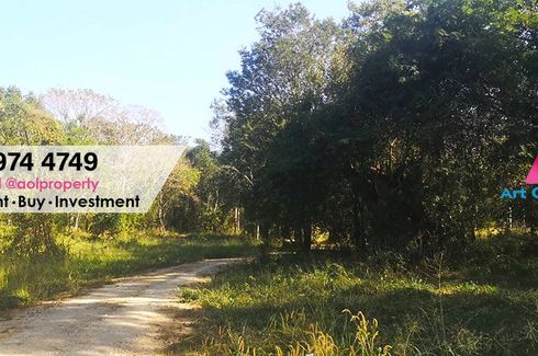 Land for sale in Phaya Yen, Nakhon Ratchasima