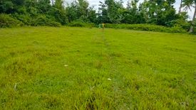 Land for sale in Poblacion, Bohol