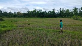 Land for sale in Poblacion, Bohol