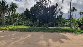 Land for sale in New Ibajay, Palawan