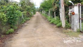 Land for sale in Mae Tuen, Lamphun