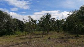 Land for sale in Dadatan, Davao del Norte