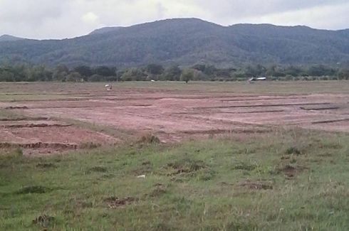 Land for sale in Tha Pla Duk, Lamphun