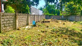 Land for sale in Taclobo, Negros Oriental