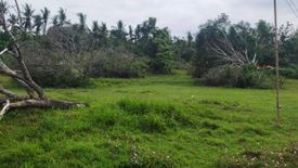 Land for sale in Kalubihan, Cebu
