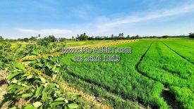 Land for sale in Maha Sawat, Nakhon Pathom