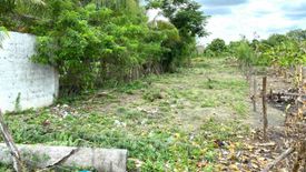 Land for sale in Capipisa, Cavite