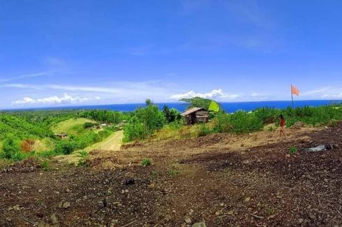Land for sale in Damolog, Cebu