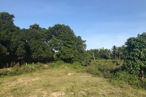 Land for sale in Sulodpan, Negros Oriental