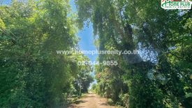 Land for sale in Bueng Ka Sam, Pathum Thani