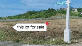 Land for sale in Tumana, Metro Manila